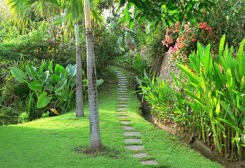 Tropical garden of Villa Bali Breeze