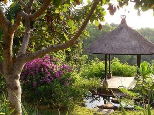 Gazebo in the 'jungle' of Villa Bali Breeze
